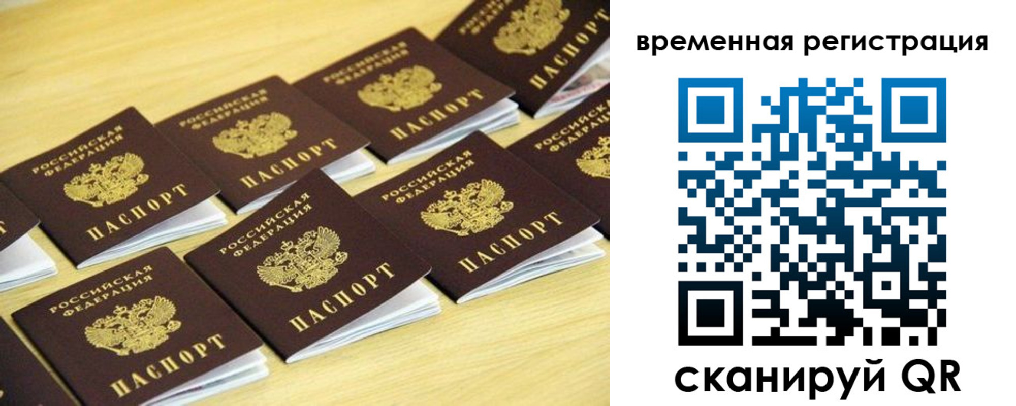 временная прописка в Болотном